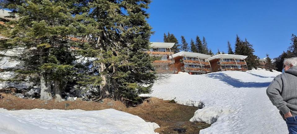 La Petite Foret Chamrousse 1700 Exterior foto